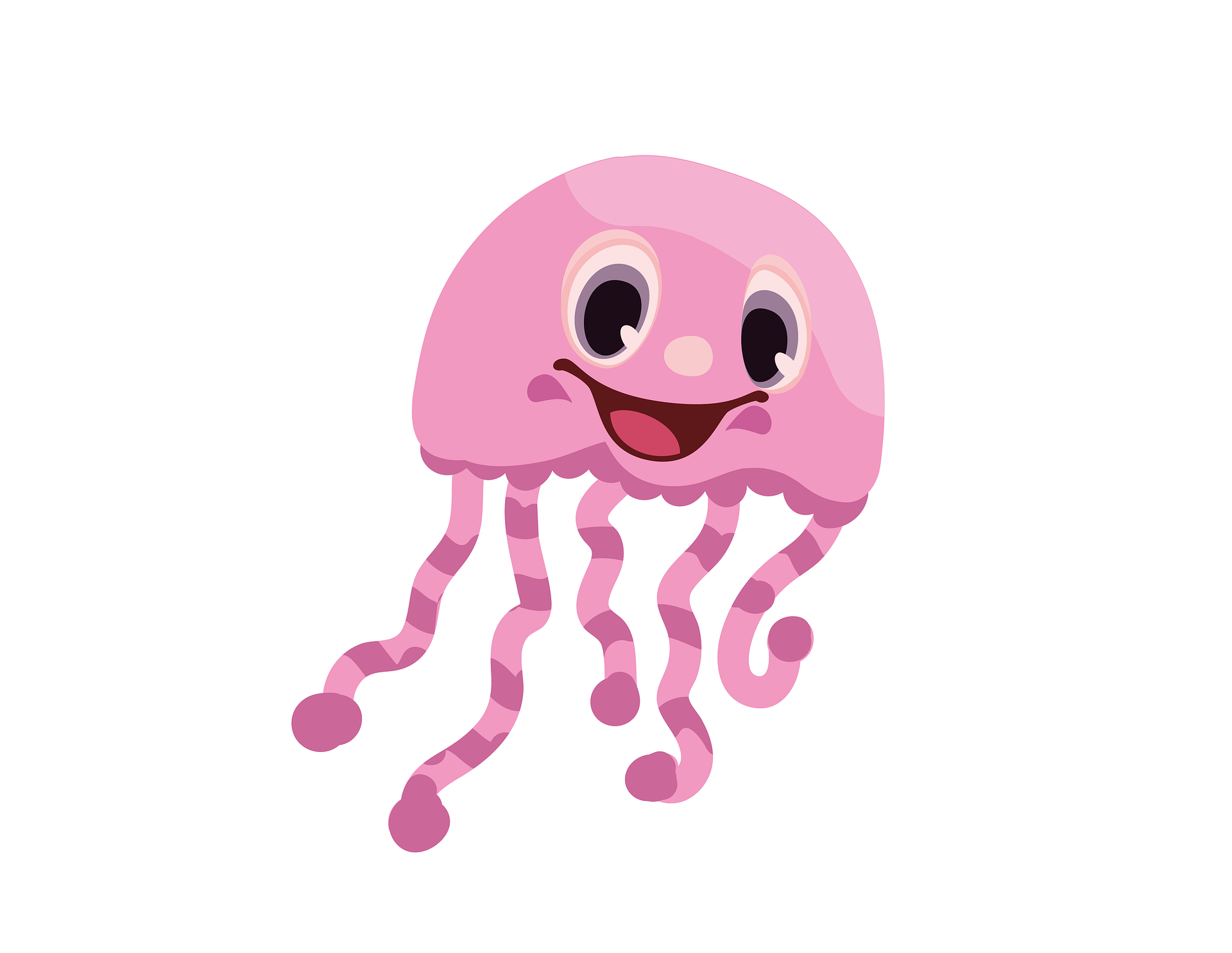 jellyfish