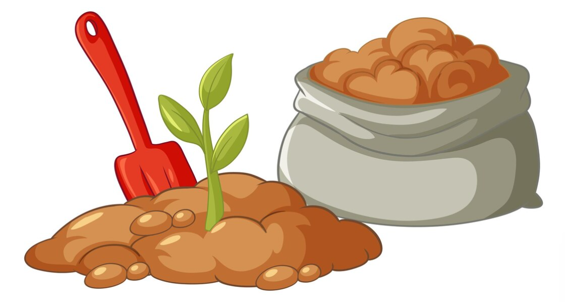 Digging into Soil Sciences (Level 3)