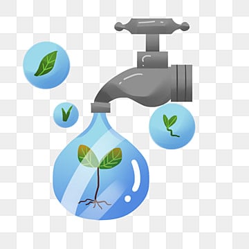 Water Conservation: From Awareness to Action (Level 3)